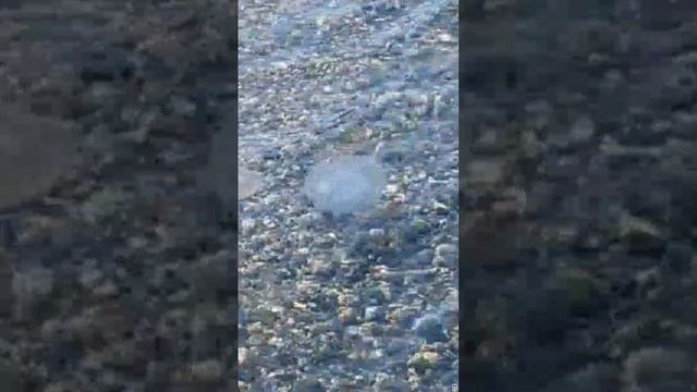 20221117_Андрей Косинский, Татьяна Буланова_Городок около моря.mp4