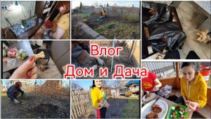 КУПИЛА ОВОЩИ / ПОДАРИЛИ АКВАРИУМ / УБОРКА ТЕРРИТОРИИ НА ДАЧЕ / 2 мая 2024 г.