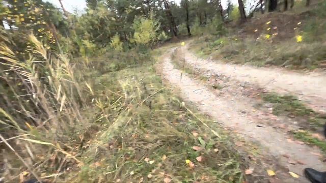 Vlog/ОХОТА ЗА ГРИБАМИ/НАШЛИ НОЖКУ смотреть онлайн