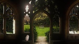 -Mcgonagall's Study Session📚POMODORO 50_10 Transfiguration Classroom✨Focus, Relax & Study at Hogwar
