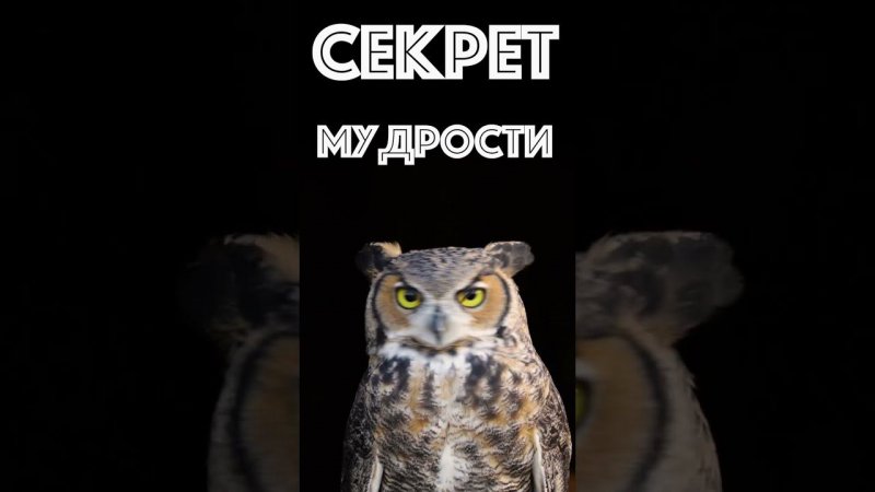 Секрет мудрости