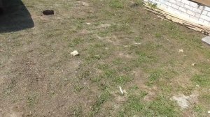 Подготовка основания под веранду и основания под навес.