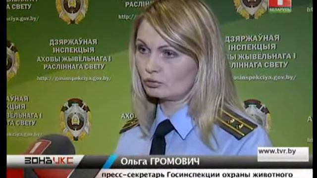 Охотники нелегалы.