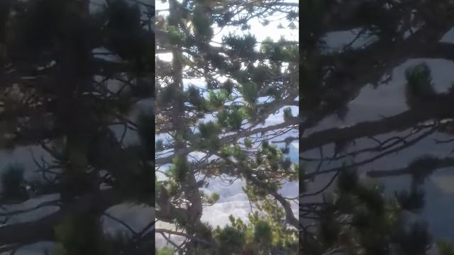 Заповедник Ловчен и святыни Черногории смотреть онлайн