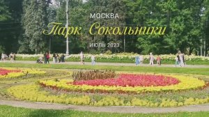 Лошади, музыка, малина, пляж, танцы. Воскресный день в Сокольниках