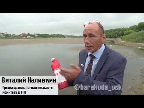 Виталий Наливкин очистил городское озеро.