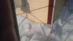 Котел Попова КП25. Обзор дымохода и топлива