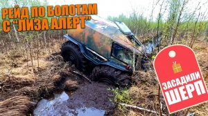 Поехали с "Лиза Алерт" на вездеходах на болота искать нелегальные постройки. Засадили Шерп