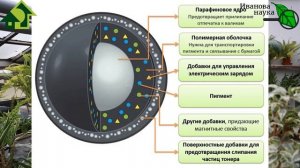 АКТИВНАЯ МАКУЛАТУРНАЯ МУЛЬЧА! Использование газет и офисной бумаги для мульчирования.
