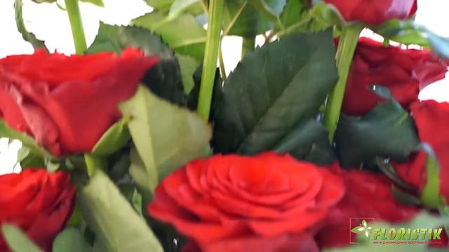 11 роз смотреть онлайн