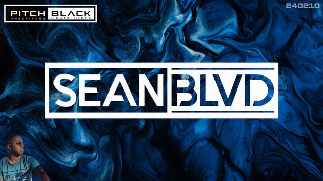 Pitch Black: Mixed House tracks for your playlist (ep. 24.02.10) смотреть онлайн