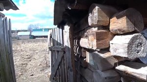 Ищу дом в деревне в Жуковке.