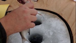 Зимняя рыбалка. Выпуск №3. Ловля на чёртик.