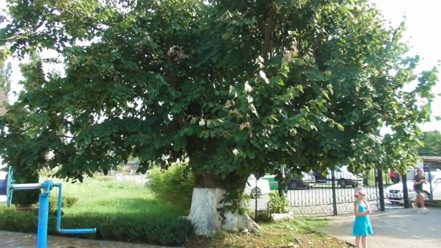 Илор Кровоточащие иконы. смотреть онлайн