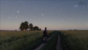 Конь (Выйду ночью в поле...), cover