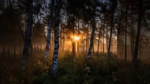 "Тайах уонна кутуйах" ааҕаллар Айысхан уонна Зинаида Петровна Дьячковскайдар дьиэ кэргэн.