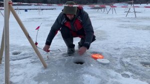 Клев и поимка форели на живца