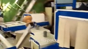 Термоупаковочный станок Альфапак 450Р две коробки