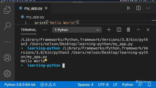 Your First Python Program | Python Tutorial #5