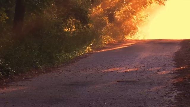 Парень решил проверить невесту, устроив экстремальный "отдых" в глухой деревне. Рассказ. смотреть онлайн