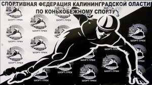 ПЕРВЫЕ В ИСТОРИИ РЕГИОНА СОРЕВНОВАНИЯ ПО ШОРТ-ТРЕКУ ПРОШЛИ В ГУСЕВЕ