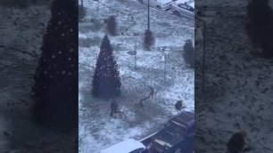 В Сочи детишки вынуждены лепить снеговика из грязи из-за плюсовой погоды.