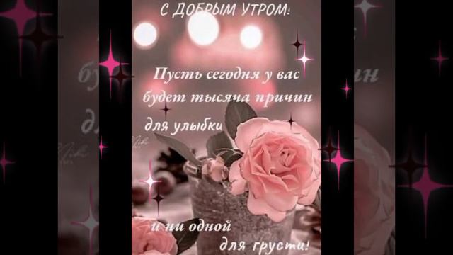 Дорого Утра, хорошего вторника смотреть онлайн