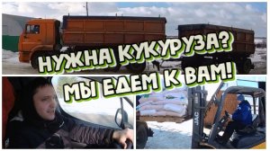 ОЧЕРЕДНАЯ ДОСТАВКА СЕМЯН КУКУРУЗЫ В ХОЗЯЙСТВА