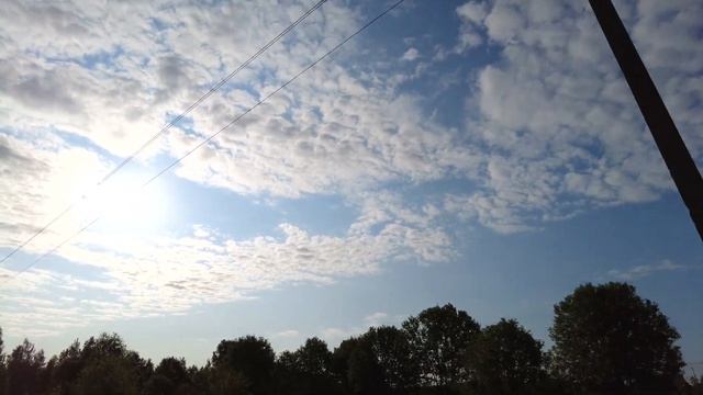 Медведей в лесах и горах полно,но почему их не видно?Прогулка на вело. смотреть онлайн