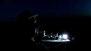 Ловля белого амура в Новой Бахмутовке!Амуры паравозы!