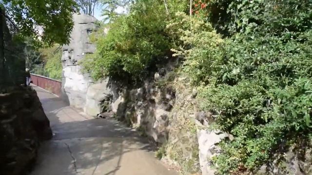 Arrondissement 19: Buttes Chaumont смотреть онлайн