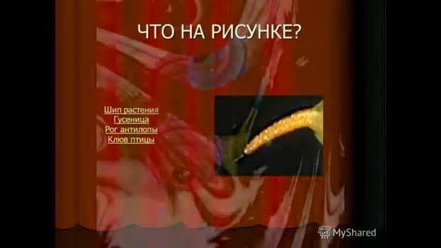 Шип смотреть онлайн