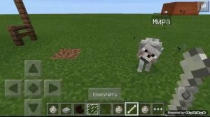Как дать имя собаке в Minecraft?