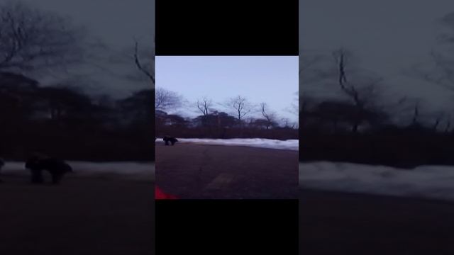 Вечерний репортаж
