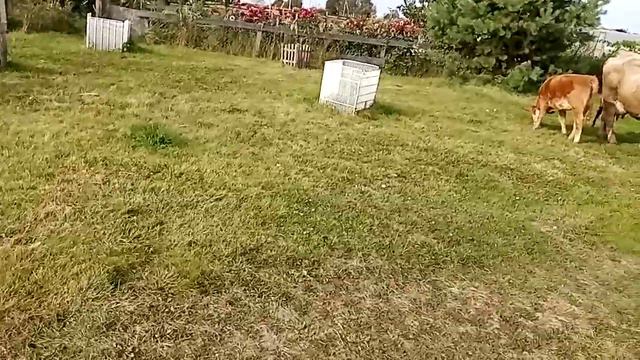 Просто хороший вечер. смотреть онлайн