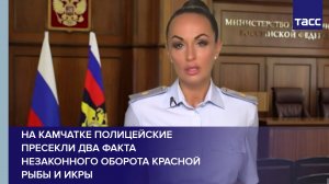 На Камчатке полицейские пресекли два факта незаконного оборота красной рыбы и икры