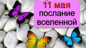 ПОСЛАНИЕ ВСЕЛЕННОЙ на 11 мая.