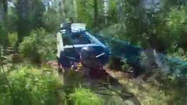 Где то в дебрях сибирской реки... смотреть онлайн