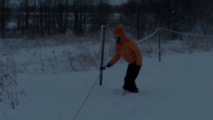электропастух в снегу