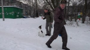 Увеличиваем расстояние. Подача по направлениям.Обучение охотничьей собаки. Видео 19.