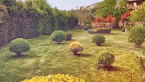 ?Красивый садовый участок Идеи для вдохновения / Ideas for the garden