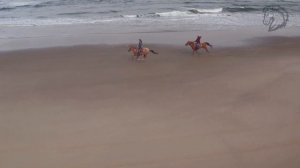 Танец девушки с шашками, Фланкировка, Наездницы на лошадях, конные прогулки