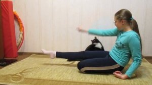 Прыжки.Варианты команды прыг. Дрессировка кота.