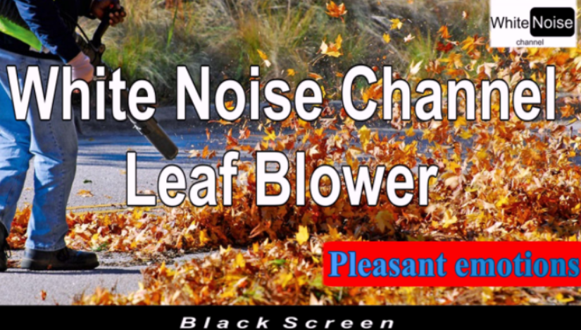 #Музыка​ восстановления Сил / #БелыйШум Воздуходувка / #Black​ScreenMusic / #WhiteNoise Leaf Blower