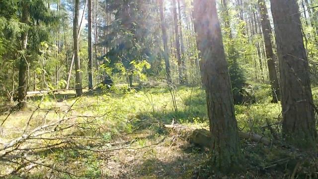 Тест камеры с пультом дистанционного управления Видео и фото