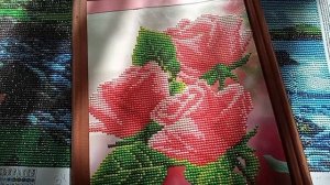 InShot_20230328_065830587.mp4