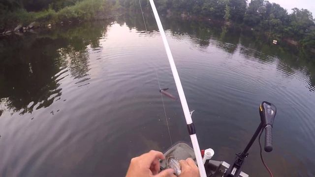 PELICAN BASS RAIDER - SENKO VS FINESSE WORMS | Fishing With Vance смотреть онлайн