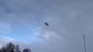 Голуби у Виктора-45(Питомник Западный-Белые ) 8-906-727-22-43