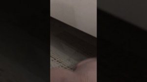 Кто насрал?!