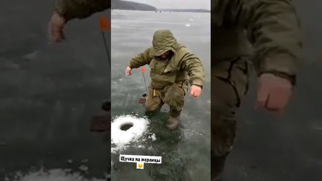 Щука на жерлицы.Судак.Жерлицы.Балансир.Рыбалка на щуку.Ратлин. Ловля рыбы.Карп.Сазан.Щука.Сом.ВДХ